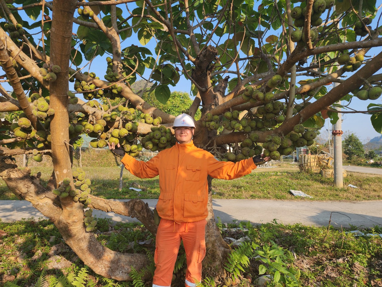  Xí nghiệp Dịch vụ Điện lực Lai Châu phát động “Tết trồng cây” xuân Giáp Thìn năm 2024